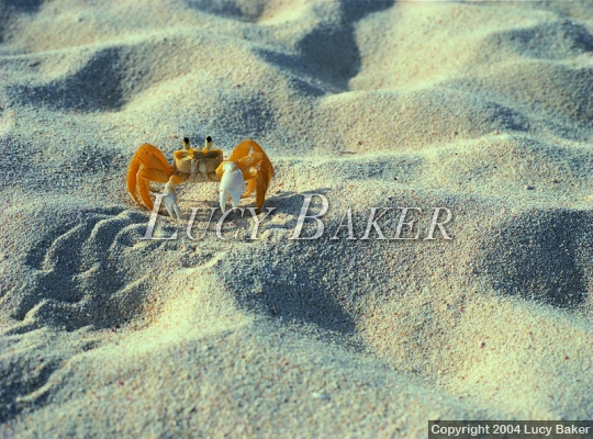 Places