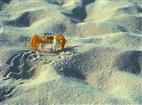 Places